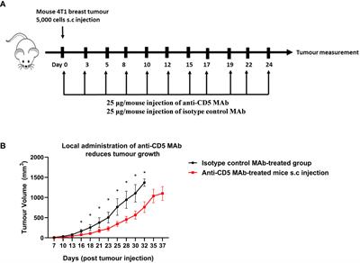 CD5 blockade, a novel immune checkpoint inhibitor, enhances T cell anti-tumour immunity and delays tumour growth in mice harbouring poorly immunogenic 4T1 breast tumour homografts